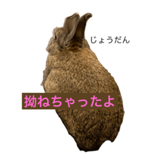 Kii_20220822103359