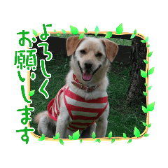 monaka_20220822121955