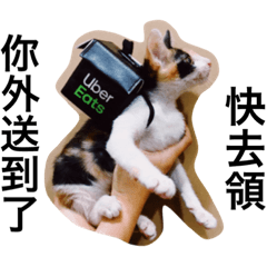 Toffee工讀生上線了