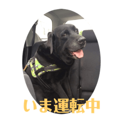 nanairo_20220822111620