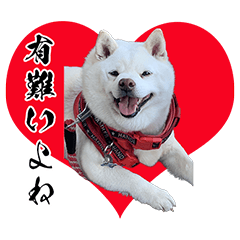 SHIBARAKUANNNONAKAMATACHI2