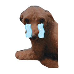 乖麻吉