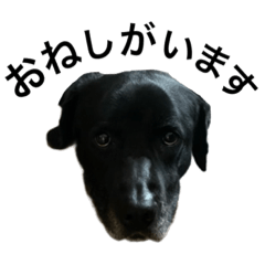 seira_20220822170704