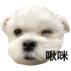 艾瑪瑪的這一家