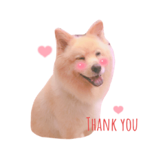 呆呆弟弟❤️