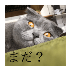 aoi_20220823102256