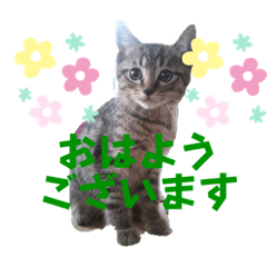 yun_20220823064659