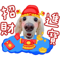 豆豆來拜年-兔年行大運