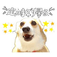 yuka_20220822213454