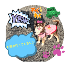 SHIHO_20220823115019