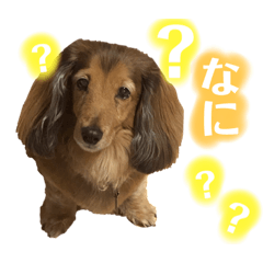 yuzuki928_20220822225839