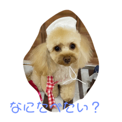tommy_20220823122204