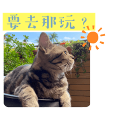 叮噹喝牛奶加糖黏踢踢