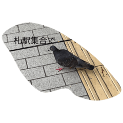 kero_20220822220250