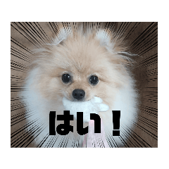 jack_20220823010125