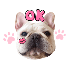 Moo yor : French Bulldog Lover