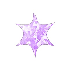 Colorful STAR_144