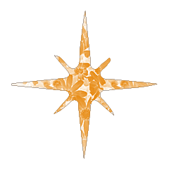 Colorful STAR_141