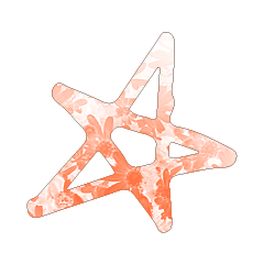 Colorful STAR_149
