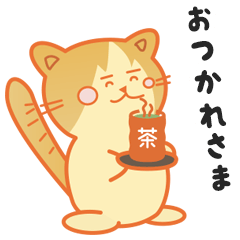 ぽっちゃり猫のノアくん vol.2