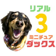 Muffin's Everyday Sticker 3