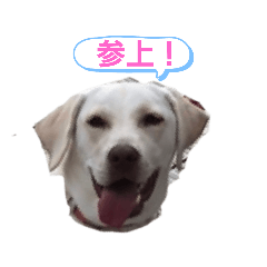 Nala  stamp