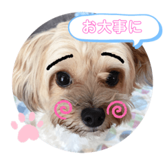 SAYURI_20220823162425