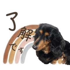 arisa_20220823182731