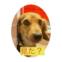AK_20220823215358