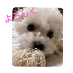 Kii_20220823220550
