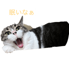 shin_20220823183029