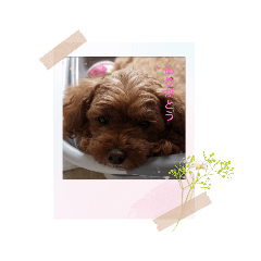 junko_20220823211137