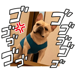 rina_20220823220918