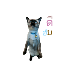 d_20220823215525