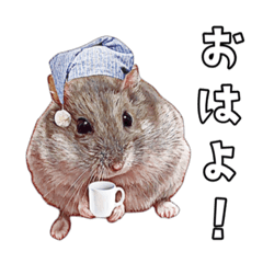 YOUTUBE Konpei march sticker