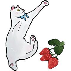 white cats with strawberries (update)