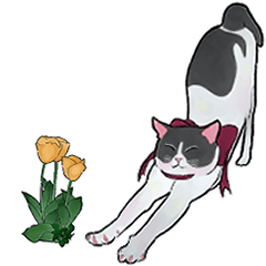 hachiware cats with tulips(update)