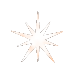 Colorful STAR_216