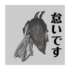 Kamiariduki_20220823235312