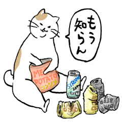 Japanese Bobtail cat part.7