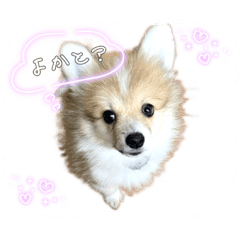 yuka_20220824131004