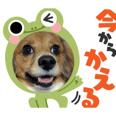 mizuki_20220824131625