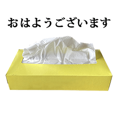 tissue box 4
