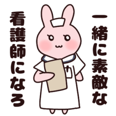 nursing student rabbit2