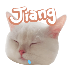 Lovely cat - Jiang Jiang