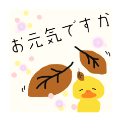 misa_20220824150025