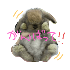 monimoni_Loveit!Rabbit