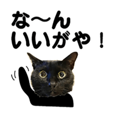 金沢弁の黒猫