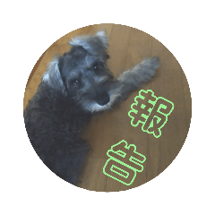 kaimomo_20220824194113