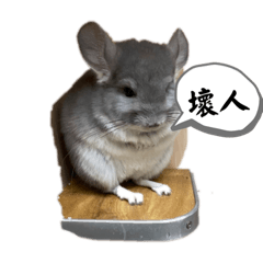 咖喱or Q
